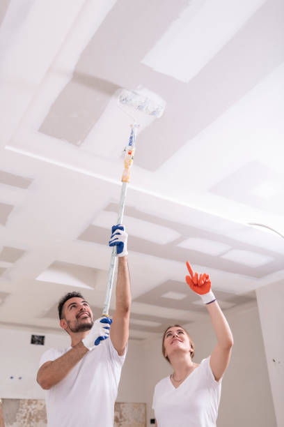 Best Comprehensive Air Testing for Mold Contaminants  in Fearrington Village, NC