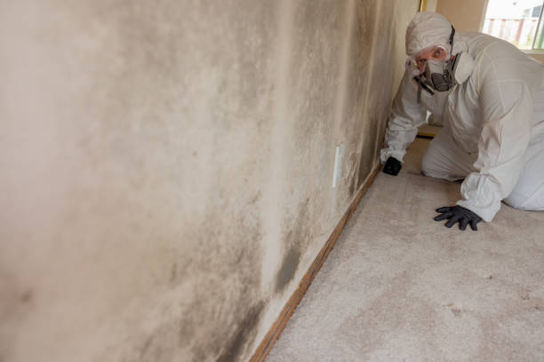 Asbestos and Lead Testing During Mold Inspection in Fearrington Village, NC