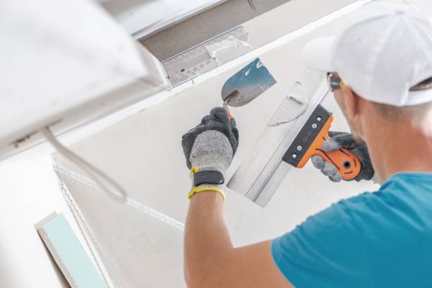 Best Mold Documentation for Insurance Claims  in Fearrington Village, NC